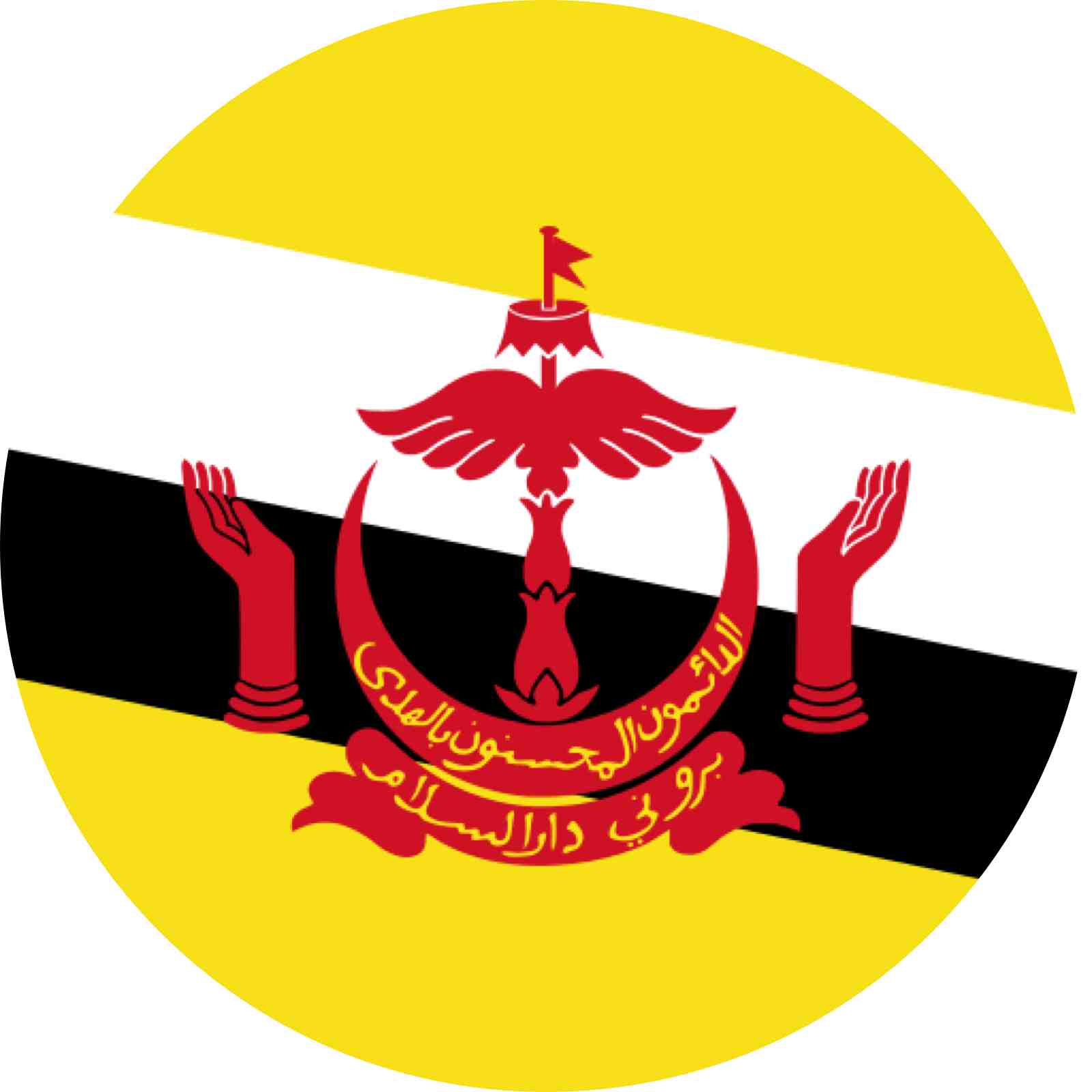 Country Logo