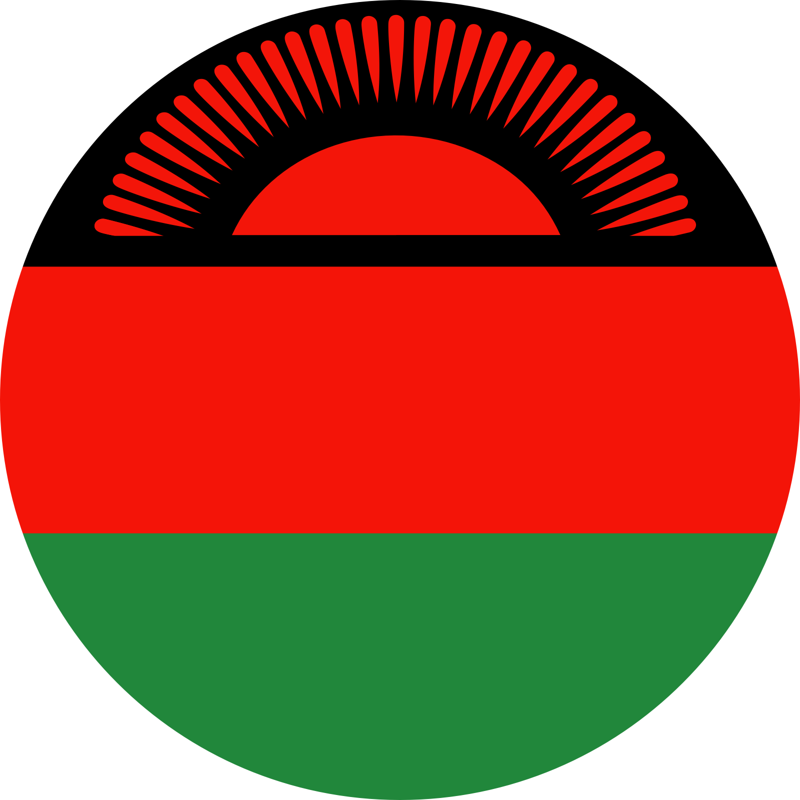 Country Logo